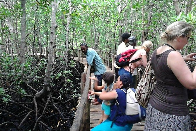 Salam Cave, Jozani Forest & Spice Farm Tour - View 2