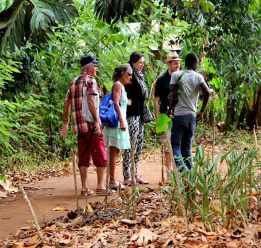 Salam Cave, Jozani Forest & Spice Farm Tour - View 3