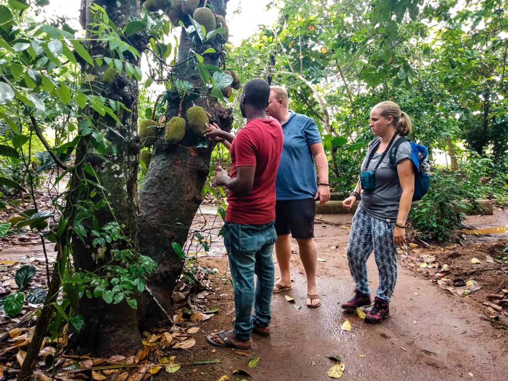 Zanzibar Spice Tour - View 4