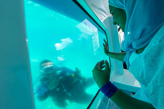 Zanzibar Submarine Reef & Beach Tour - Main View